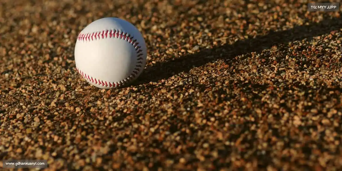 南宫NG28——聚体育力量,燃团队荣光!⚽